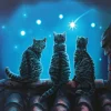 Something Different Lisa Parker Wish Upon A Star Light Up Picture