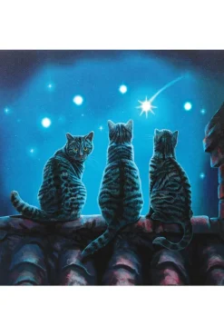 Something Different Lisa Parker Wish Upon A Star Light Up Picture