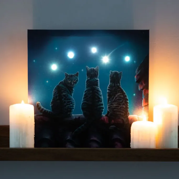 Something Different Lisa Parker Wish Upon A Star Light Up Picture