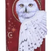 Nemesis Now Magical Flight Embossed Purse