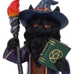 Nemesis Now Magnus Wizard Cat Figurine