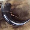 Southern Swords Medieval Drinking Horn X-Large Brown