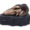 Nemesis Now Monte Moore Dragon Skull Box