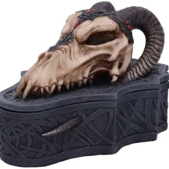 Nemesis Now Monte Moore Dragon Skull Box