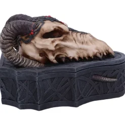 Nemesis Now Monte Moore Dragon Skull Box