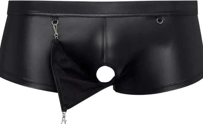NEK Wetlook Pants (S, L)