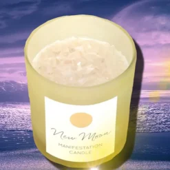 Something Different New Moon Wild Orange Manifestation Crystal Chip Candle