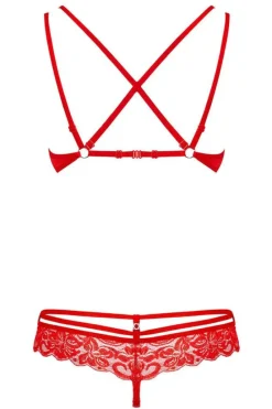 Obsessive Red Bra and Thong Set