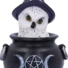 Nemesis Now Owl's Brew