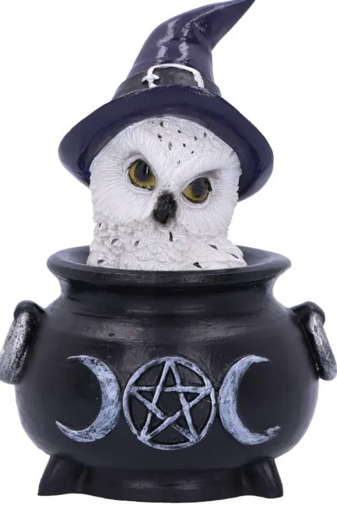 Nemesis Now Owl's Brew