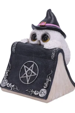 Nemesis Now Owl's Spell Figurine