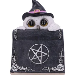 Nemesis Now Owl's Spell Figurine