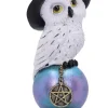 Nemesis Now Owl's Talisman