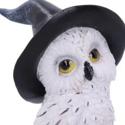 Nemesis Now Owl's Talisman