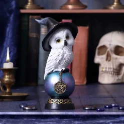 Nemesis Now Owl's Talisman