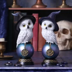 Nemesis Now Owl's Talisman