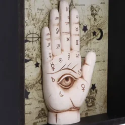 Nemesis Now Palmistry Companion Wall Art