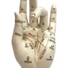 Nemesis Now Palmistry Hand