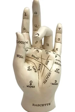 Nemesis Now Palmistry Hand