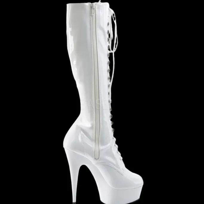 Pleaser DELIGHT-2023 Boots