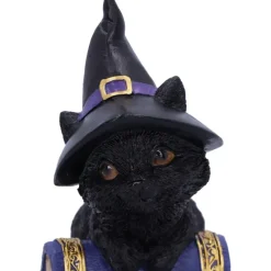 Nemesis Now Pocus Cat Figurine