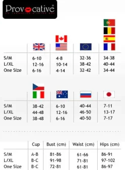 Provocative 1418 Garter Stocking