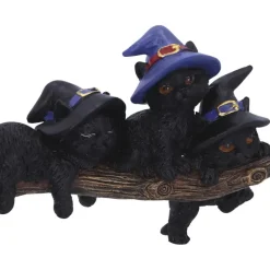 Nemesis Now Purrfect Broomstick Cats