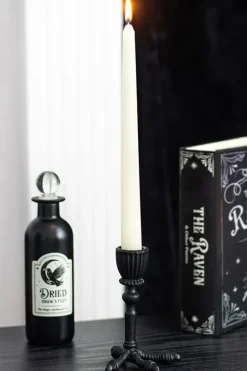 Something Different Raven Claw Taper Candle Holder