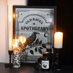 Something Different Raven Claw Taper Candle Holder
