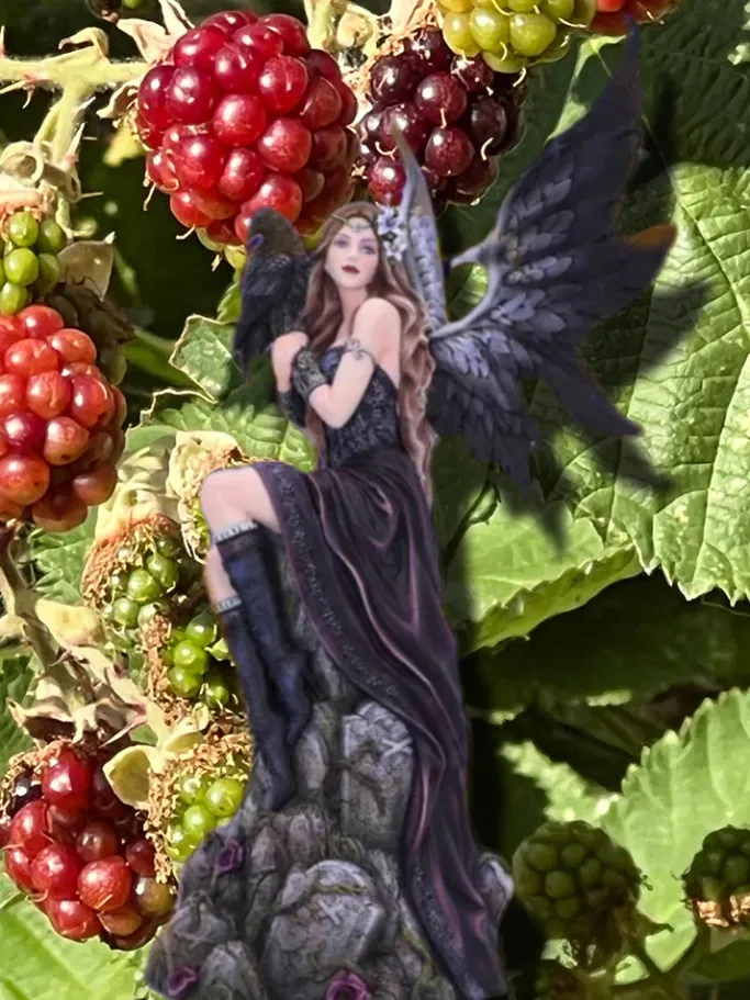 Nemesis Now Ravina Raven Fairy Figurine