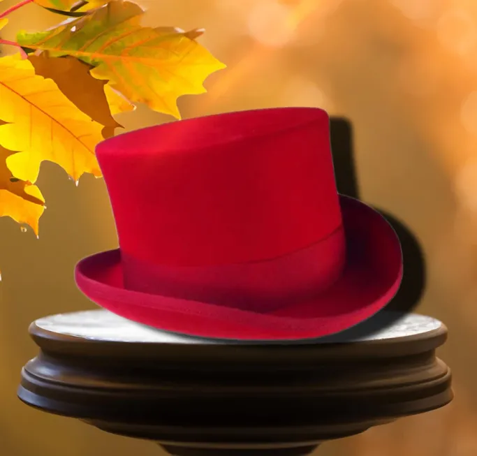 Euro Accessories Red Top Hat