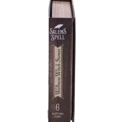 Nemesis Now Salem's Spell Kit