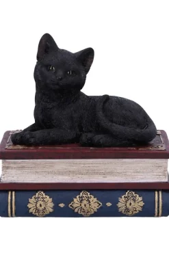 Nemesis Now Salems Spells Cat Box