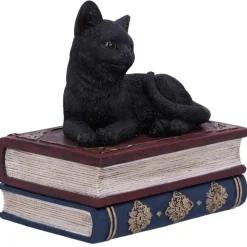 Nemesis Now Salems Spells Cat Box