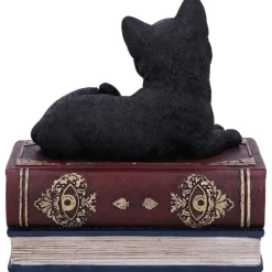 Nemesis Now Salems Spells Cat Box