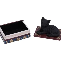 Nemesis Now Salems Spells Cat Box