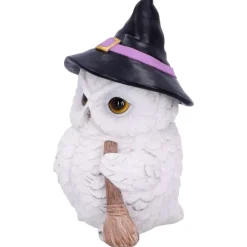 Nemesis Now Snowy Magic Witch Owl