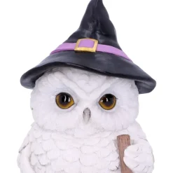 Nemesis Now Snowy Magic Witch Owl