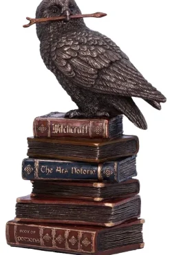 Nemesis Now Spellcraft Wizard Owl