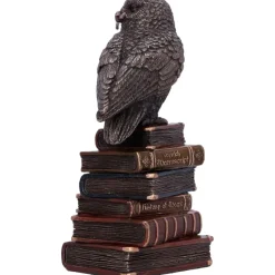 Nemesis Now Spellcraft Wizard Owl