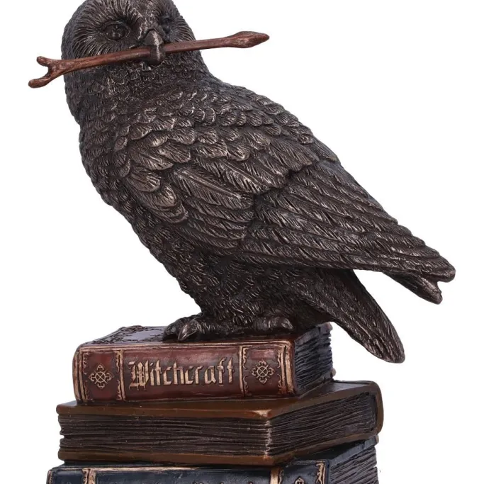 Nemesis Now Spellcraft Wizard Owl