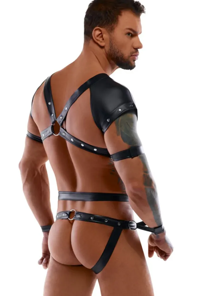 Svenjoyment Harness