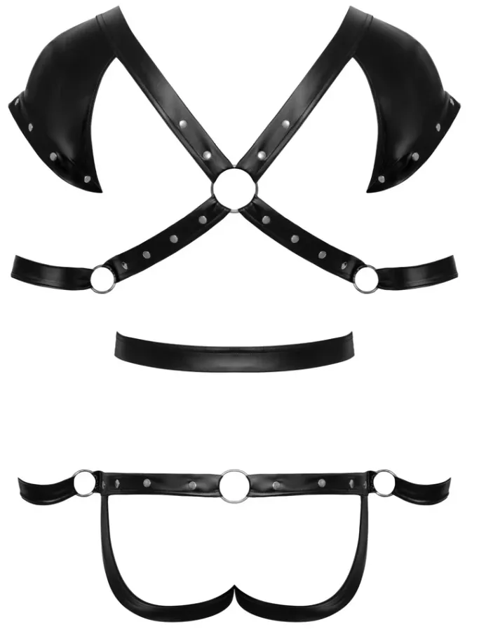 Svenjoyment Harness