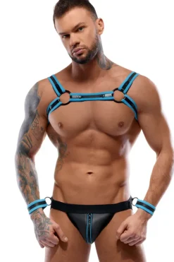 Svenjoyment Harness Set