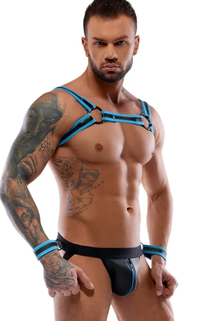 Svenjoyment Harness Set