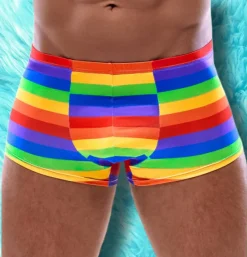 Svenjoyment Rainbow Boxer Briefs