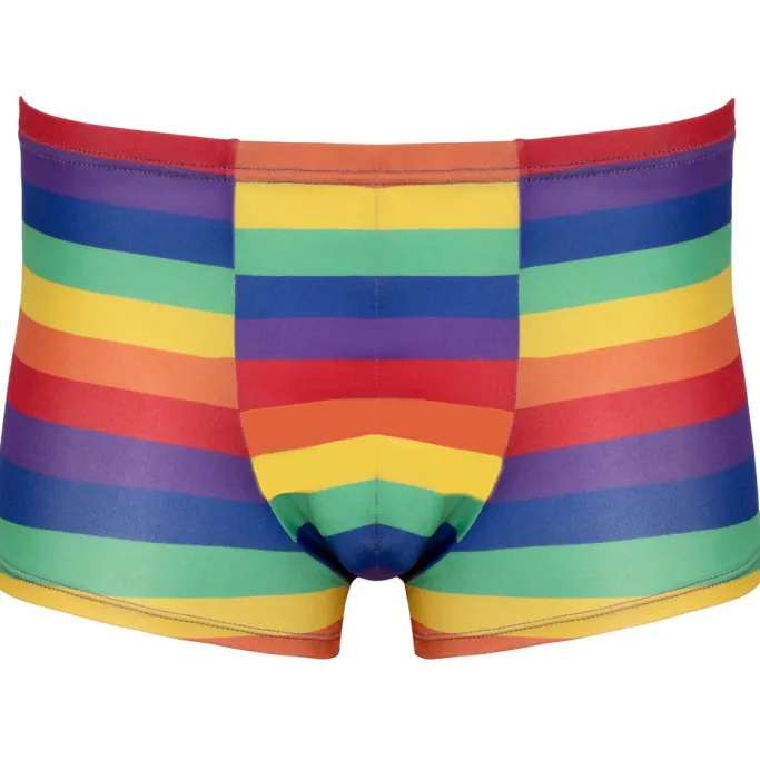 Svenjoyment Rainbow Boxer Briefs