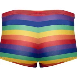 Svenjoyment Rainbow Boxer Briefs
