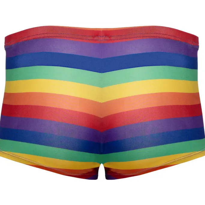 Svenjoyment Rainbow Boxer Briefs