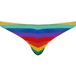 Svenjoyment Rainbow Thong